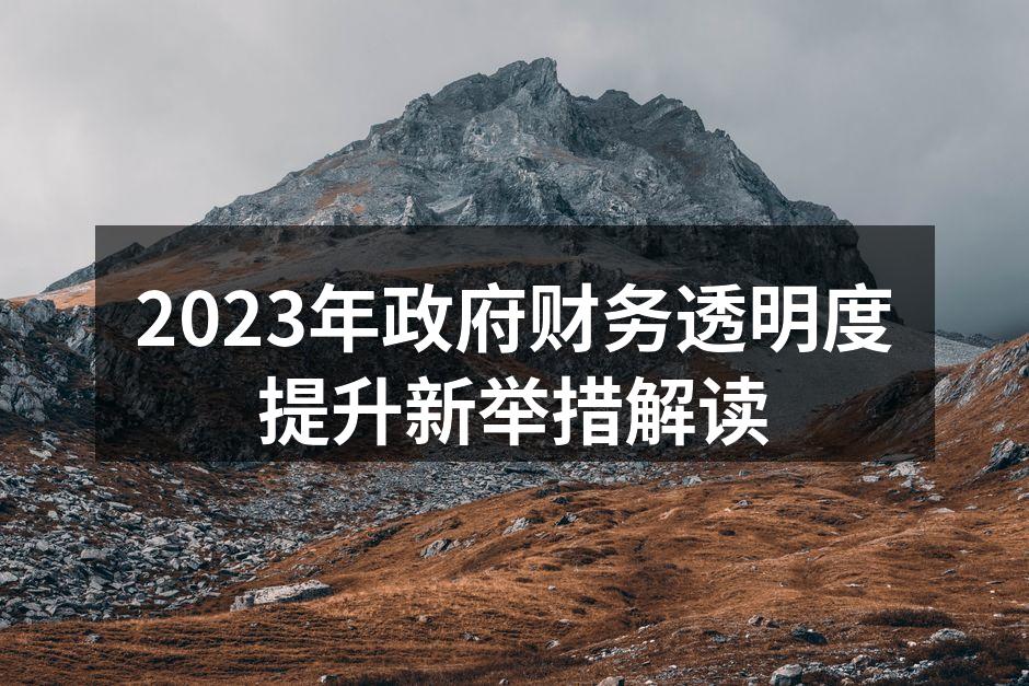 2023年政府财务透明度提升新举措解读